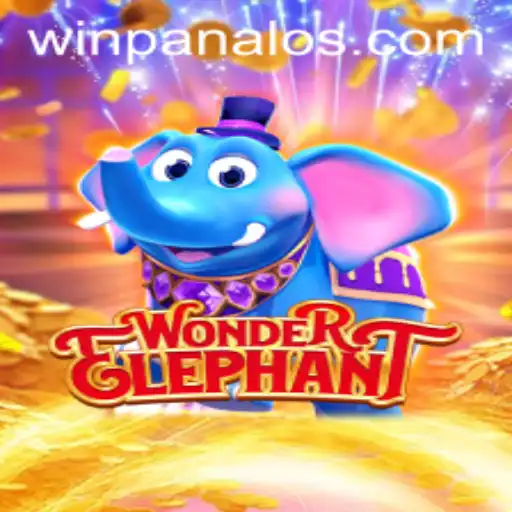 Discover the World of WonderElephant